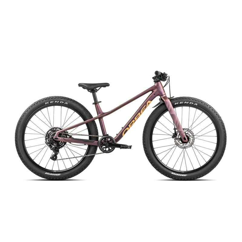 terra-bike20261010165655153568