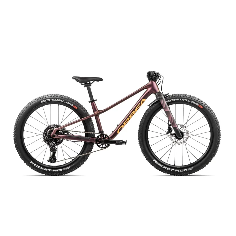 terra-bike20261010165658153578