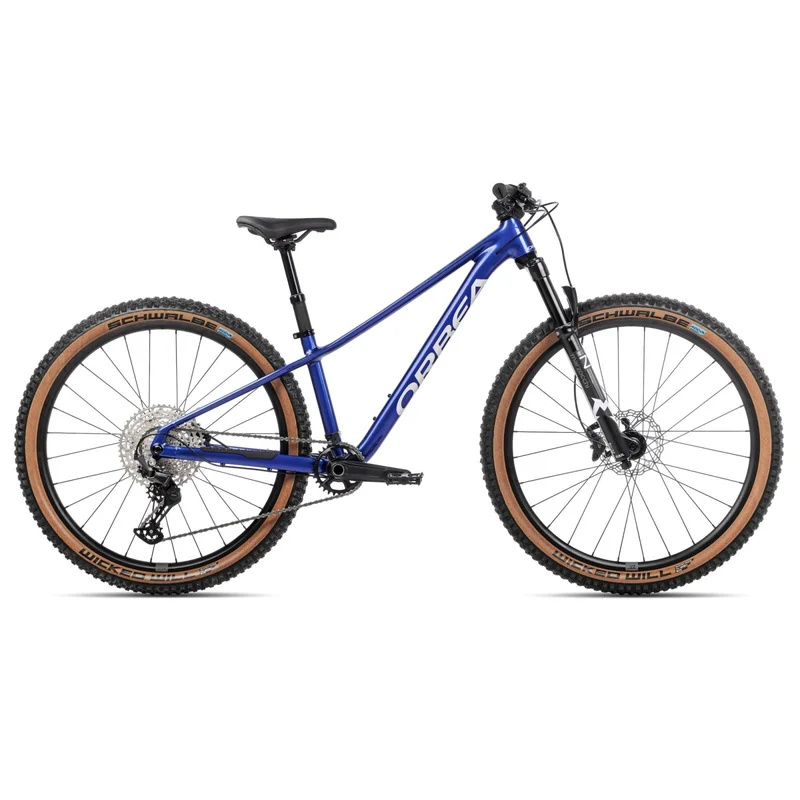 terra-bike20261010165703153607